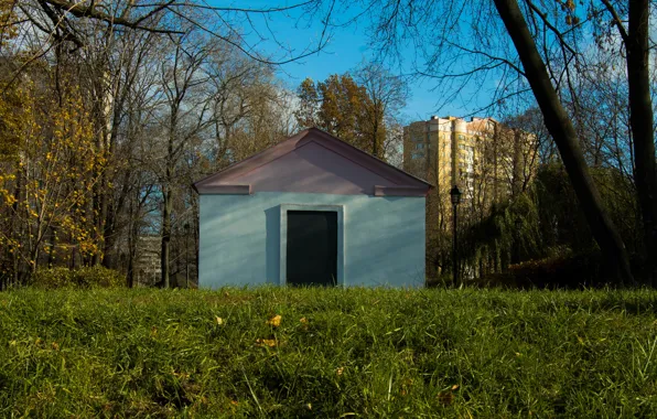 The sky, Grass, House, Moscow, November