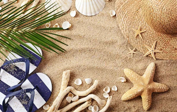 Picture sand, beach, summer, hat, glasses, shell, summer, beach