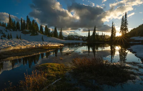 Winter, forest, the sun, clouds, rays, snow, lake, reflection