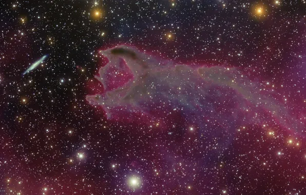 Space, nebula, the universe