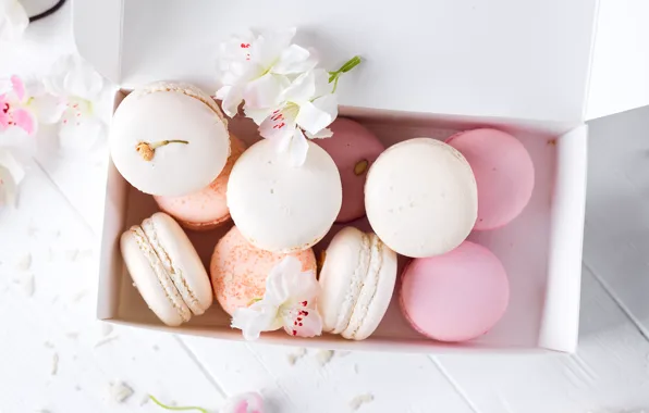 Picture white, pink, flowers, french, macaron, pastel, macaroon
