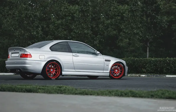Forest, asphalt, BMW, grey, E46