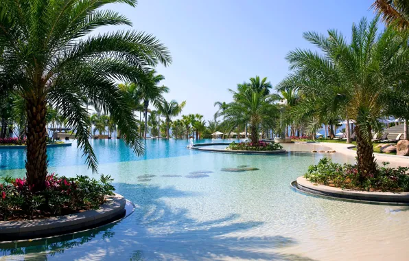 Picture trees, flowers, palm trees, pool, resort, sun loungers, exterior, Sanya