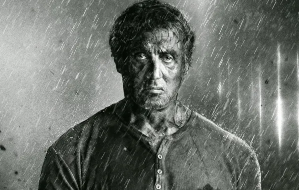 Wallpaper Sylvester Stallone, Sylvester, rembo 5, Rembo images for ...