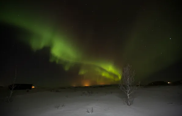 Picture winter, stars, night, nature, Northern lights, Aurora Borealis