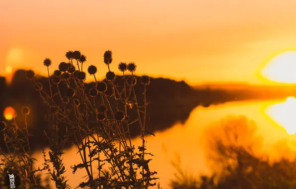 Sunset, nature, river, focus, GK media, Grigory Karaman, Kaluga, Kaluga