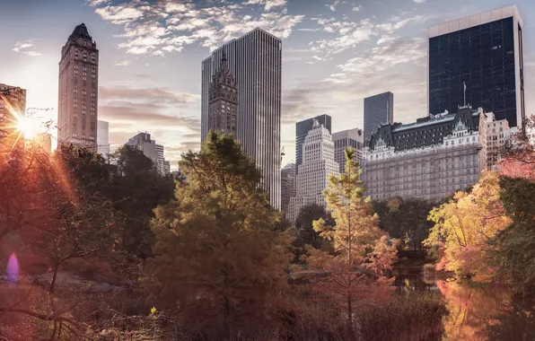 Autumn, the city, Park, skyscrapers, USA, USA, America, New York