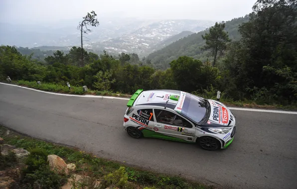 Road, Machine, Peugeot, Slope, The view from the top, WRC, Rally, Competition