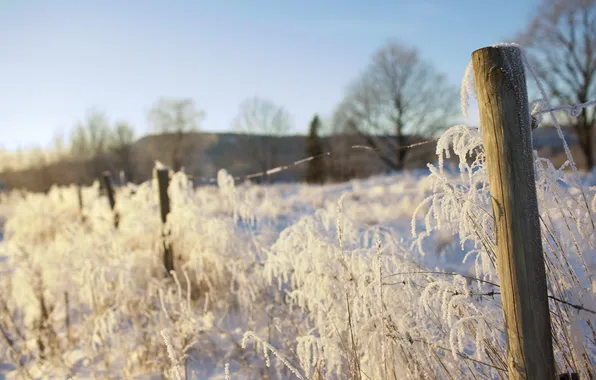 Winter, snow, the fence