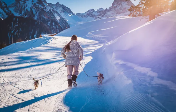 Winter, road, dogs, the sky, girl, the sun, rays, light