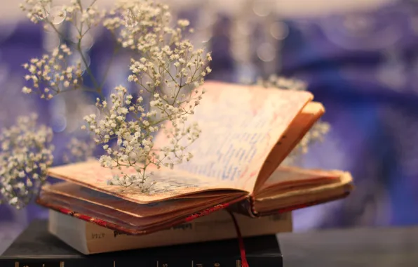 Flowers, background, books