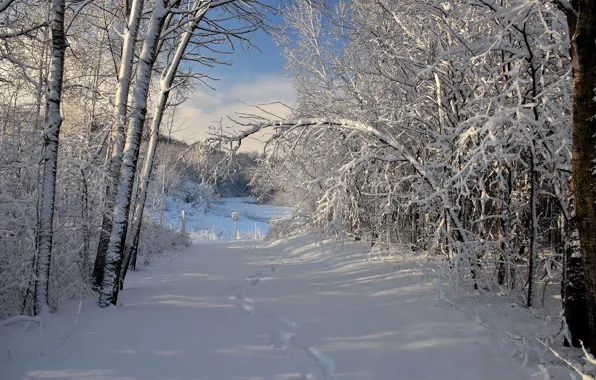 Winter, snow, traces
