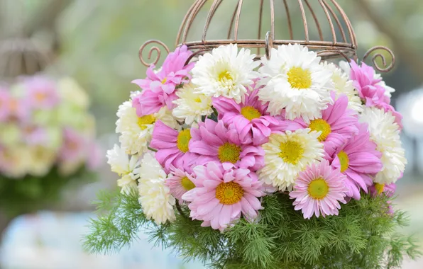Picture basket, chrysanthemum, composition
