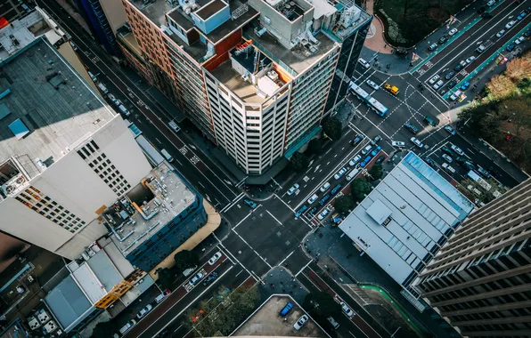 Movement, skyscrapers, crossroads, megapolis