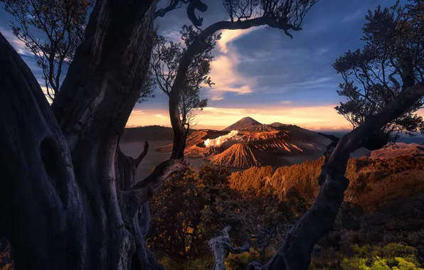 Clouds, trees, the volcano, Indonesia, Mount Bromo