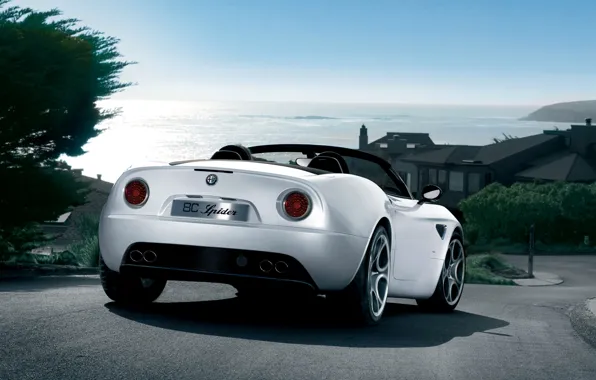 Road, sea, landscape, spider, alfa romeo, 8c