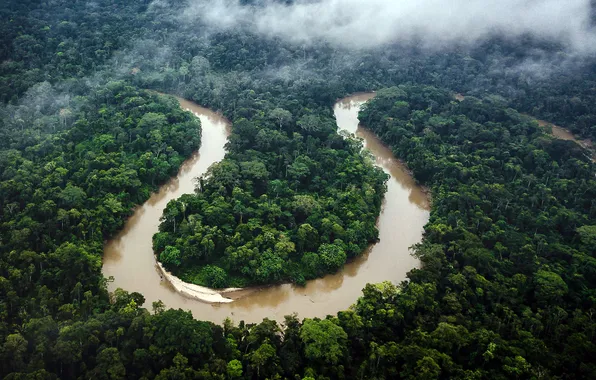 River, Ecuador, River, Ecuador, Amazon, Amazon, Rainforest, Rainforest