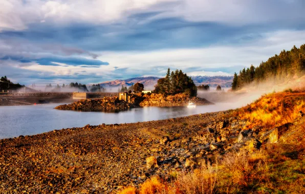Autumn, forest, trees, nature, fog, river, stones, island