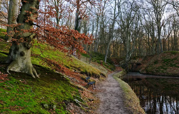 Picture autumn, nature, Park