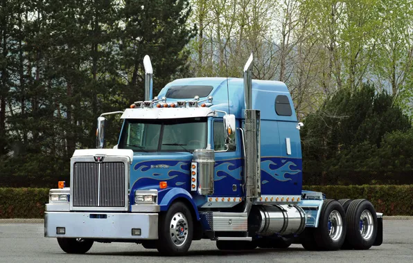 Trees, blue, truck, truck, tractor, western star, 4900, long haul