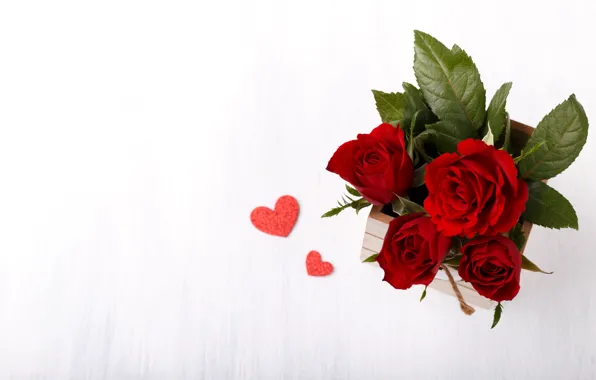 Picture red, roses, bouquet, box