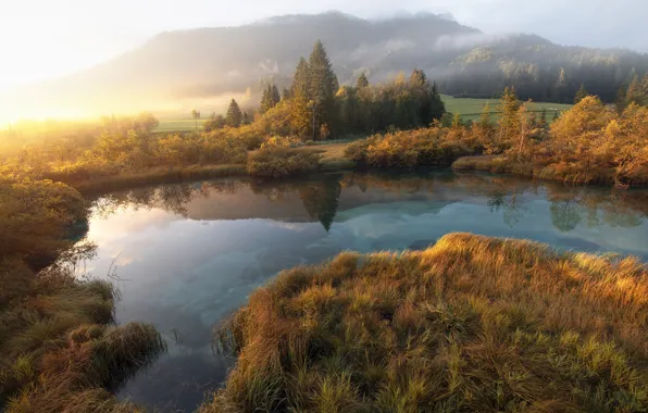 Field, autumn, forest, grass, light, trees, mountains, fog