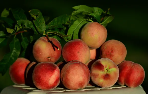 Harvest, fruit, peaches