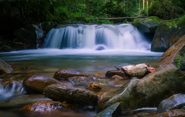Picture forest, summer, trees, branches, stones, shore, foliage, waterfall