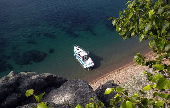 Nature, Sea, Beach, Tree, Rock, Boat