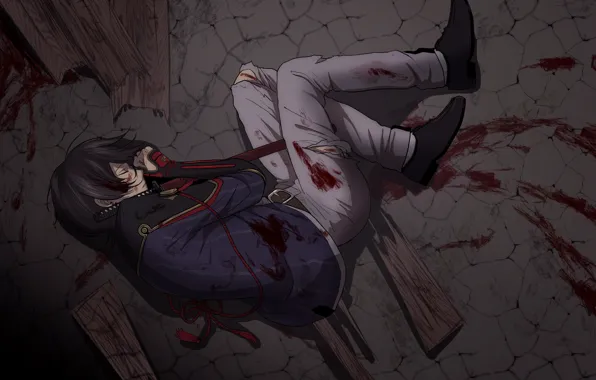 Blood, art, guy, Touken Ranbu, Dance of swords