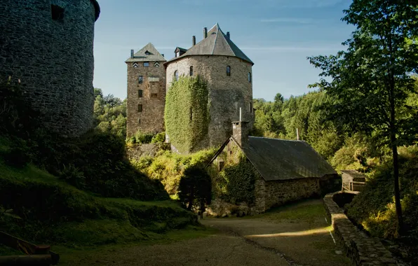 Greens, forest, trees, castle, Belgium, Sunny, Castle Reinhardstein