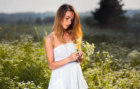 Girl, Field, Model, Face, Brunette, Beauty, Beautiful, Sundress