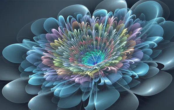 Purple, flowers, blue, petals, pink, colorful