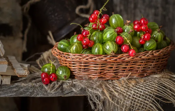 Berries, still life, basket, currants, gooseberry