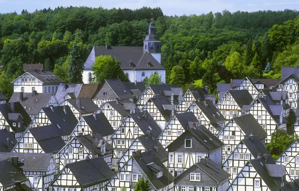 Roof, the sky, trees, the city, watch, tower, home, town hall