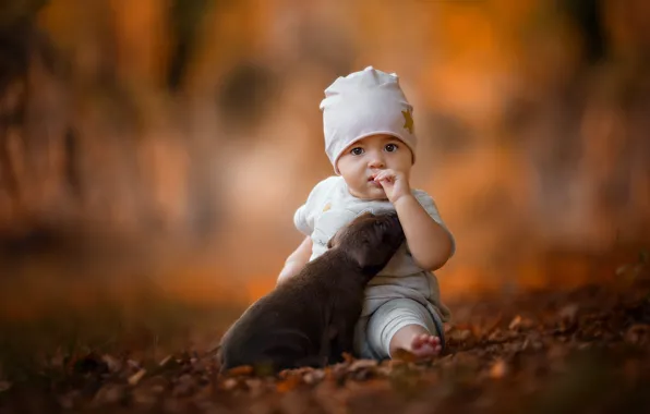Autumn, forest, eyes, look, leaves, nature, face, pose