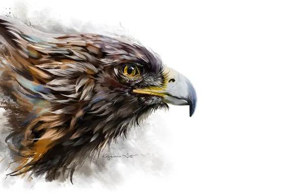 Picture background, bird, eagle, beak, art, profile