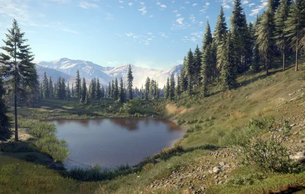 Picture game, Expansive Worlds, thehunter call of the wild