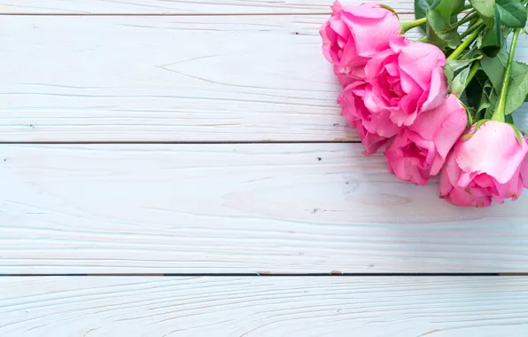 Picture flowers, background, roses, pink, buds
