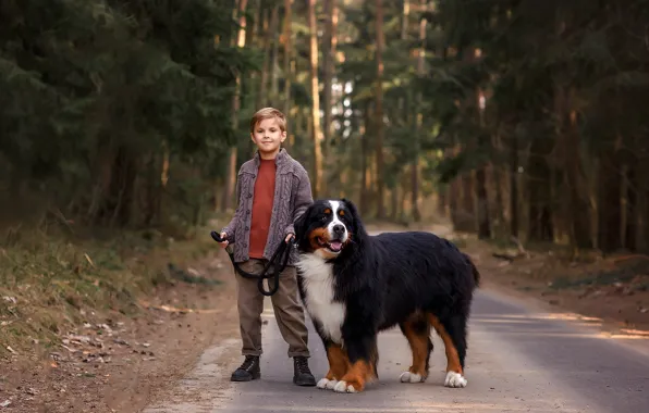 Road, forest, nature, animal, dog, boy, child, dog