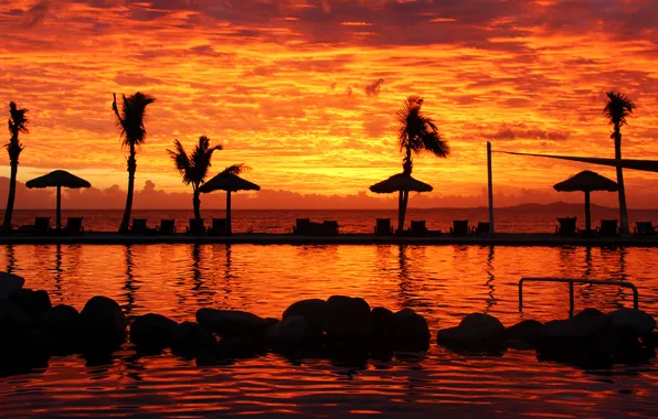 Sunset, palm trees, the ocean, pool, Fiji, Denarau Island