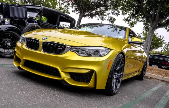Bmw, f82