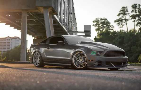 Picture Mustang, Ford, Bridge, GT, ACE Driven