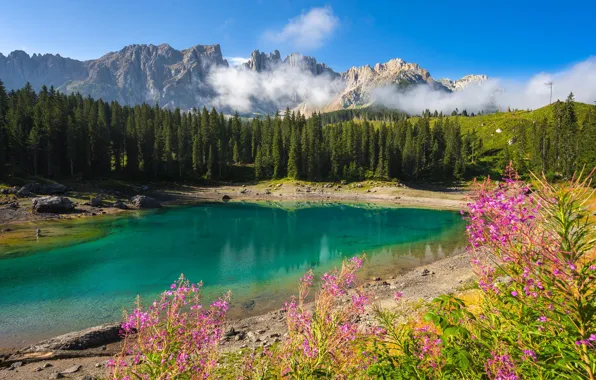 Forest, summer, clouds, flowers, mountains, lake, blue, rocks