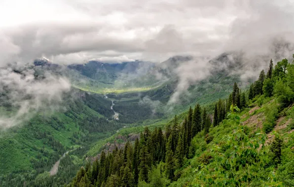 Greens, forest, clouds, trees, mountains, river, valley, Canada