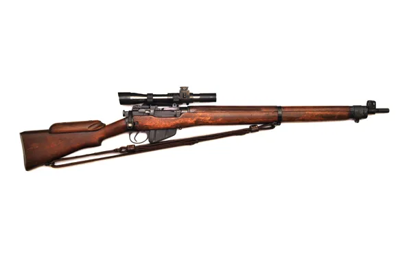 Picture rifle, Lee-Enfield, No4T
