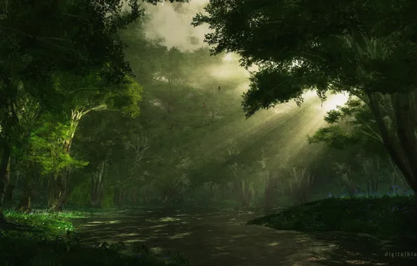 Stream, Road, Trees, Forest, Light, Rays