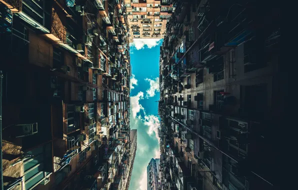 The sky, Windows, home, look up