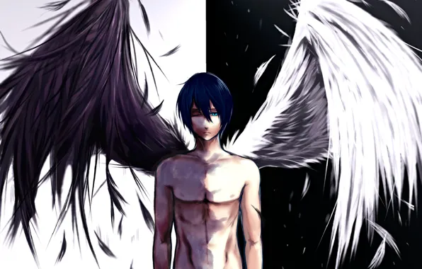 Wings, angel, A Homeless God, Noragami, Yato