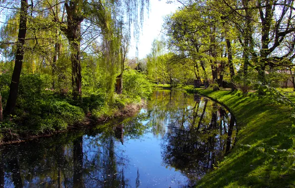 Water, park, pond
